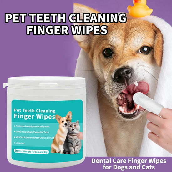 Disposable Pet Cleaning Products Teeth Cleaning
